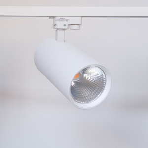 Led Ray Spot