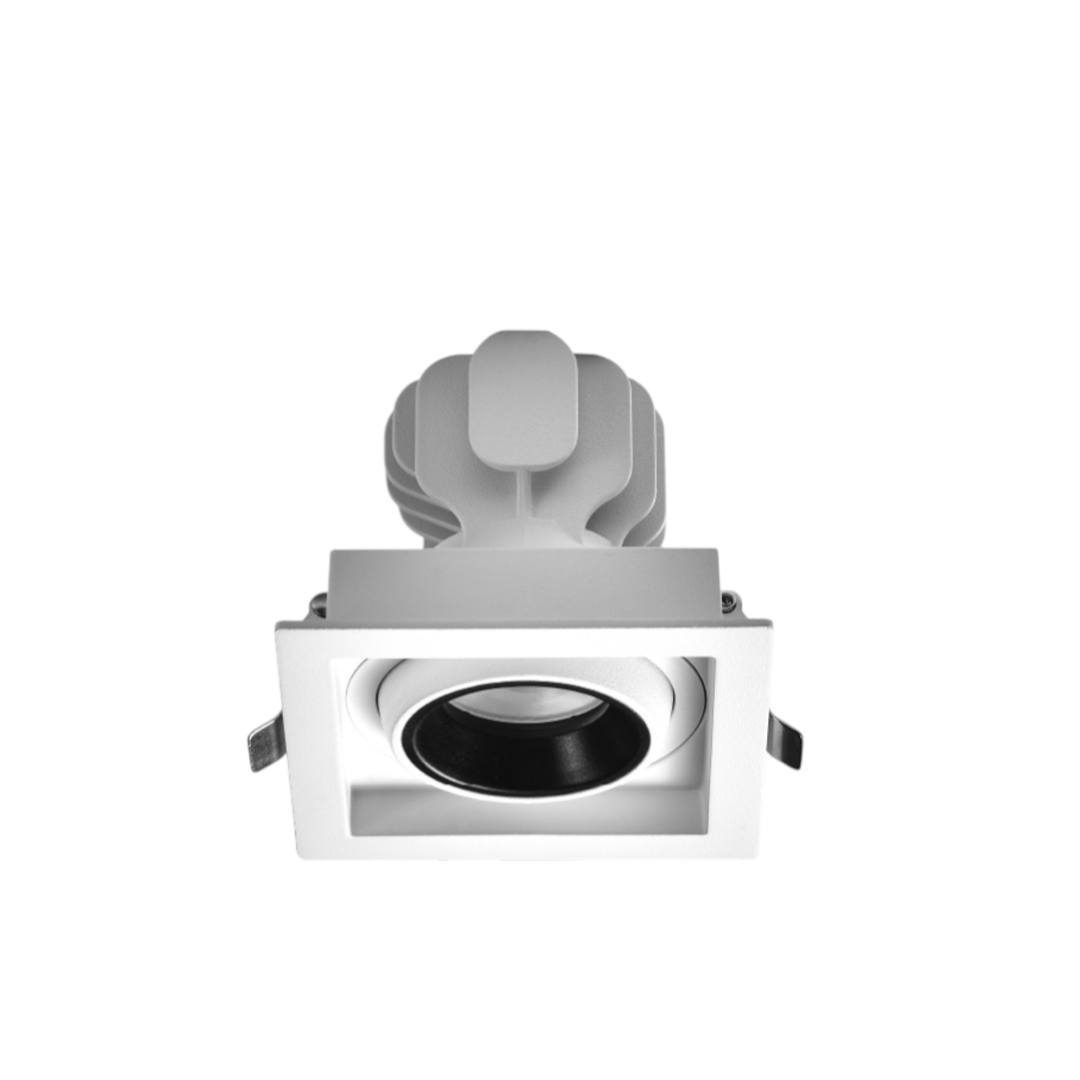 MOL5024 Photoroom