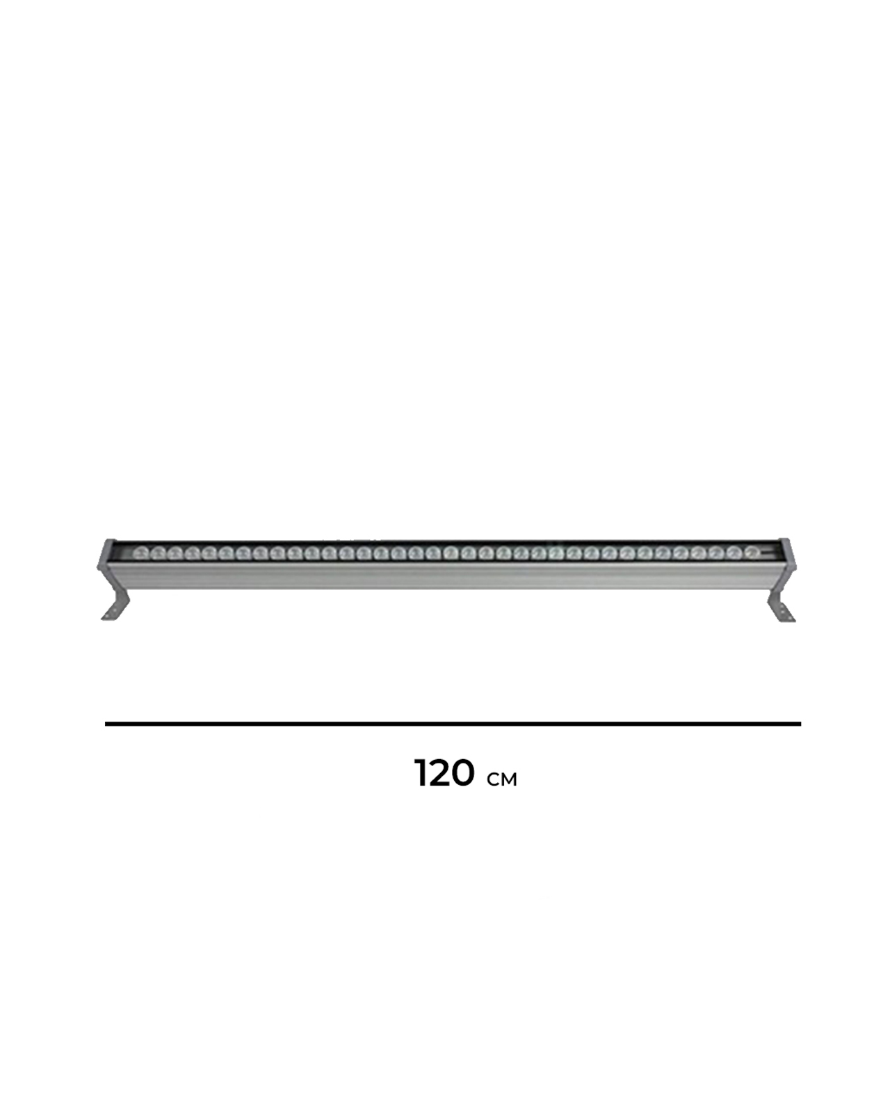 RAV48X1-1.jpg RAV48X1 1