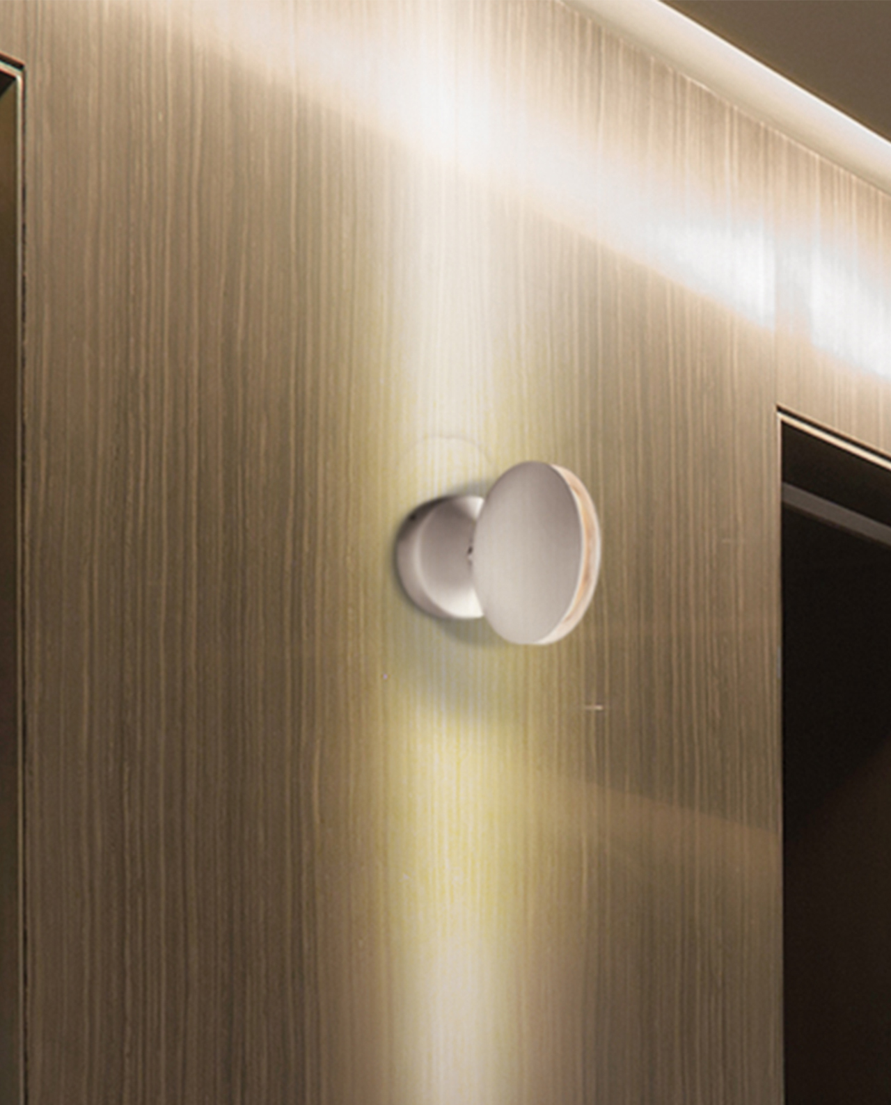 RAV8001A.jpg RAV8001A