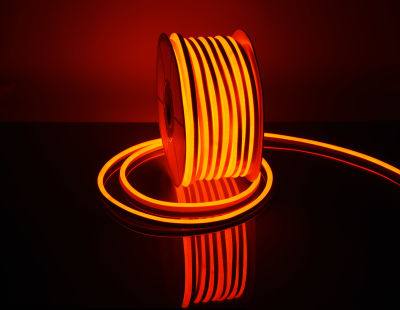 220 V İç/Dış Mekan Neon Şerit LED